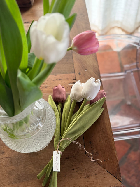 Tulipani