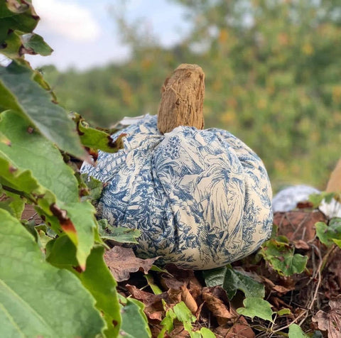 Zucche in toile de jouy