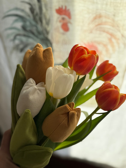 Tulipani