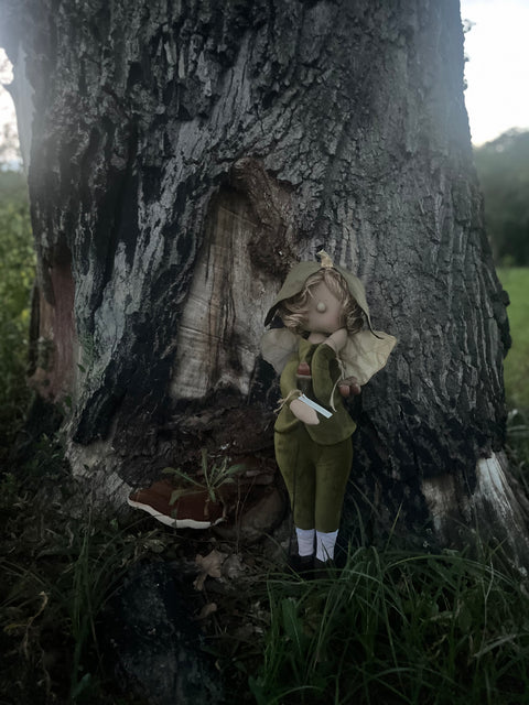 Virna la fata del bosco