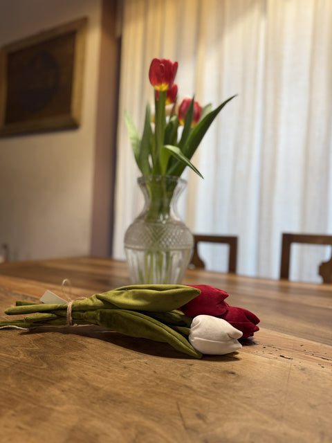 Tulipani