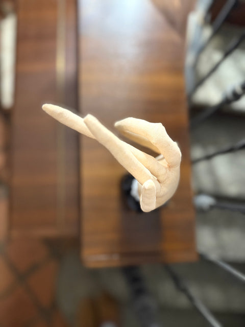 La mano della strega