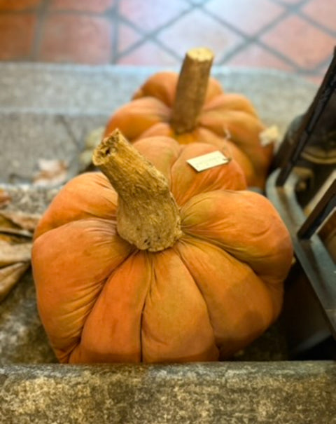 Zucca dipinta a mano