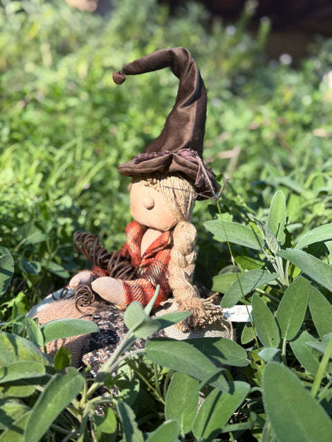 Minù la fata zucca