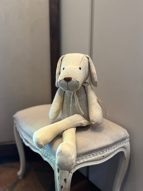 Il cane Ernesto