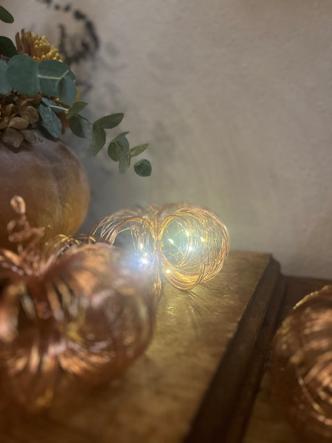 Zucche in fil di ferro con led