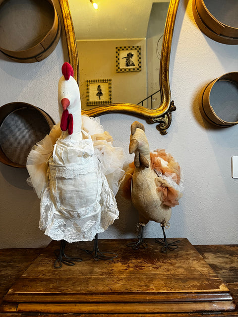 Gallina tullosa