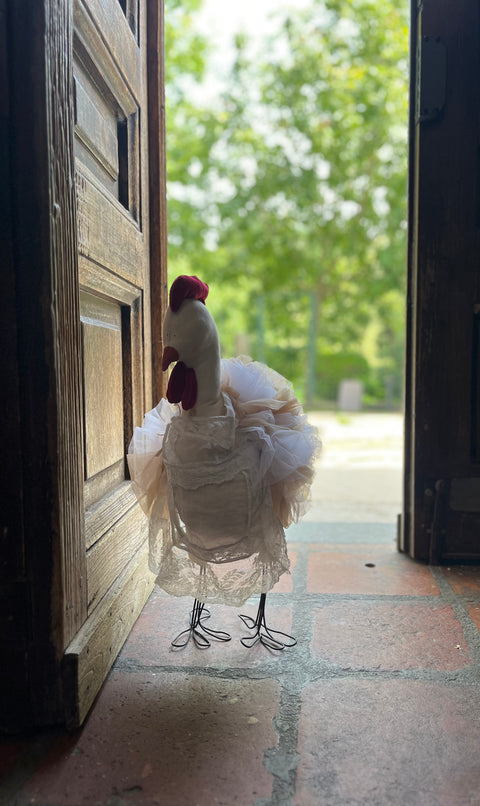 Gallina tullosa