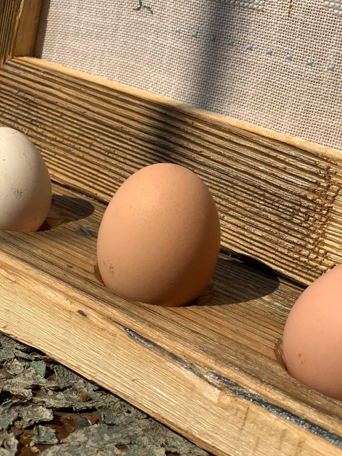 PORTAUOVO ricamato Fresh Eggs