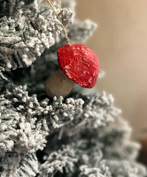 Funghi di natale rossi