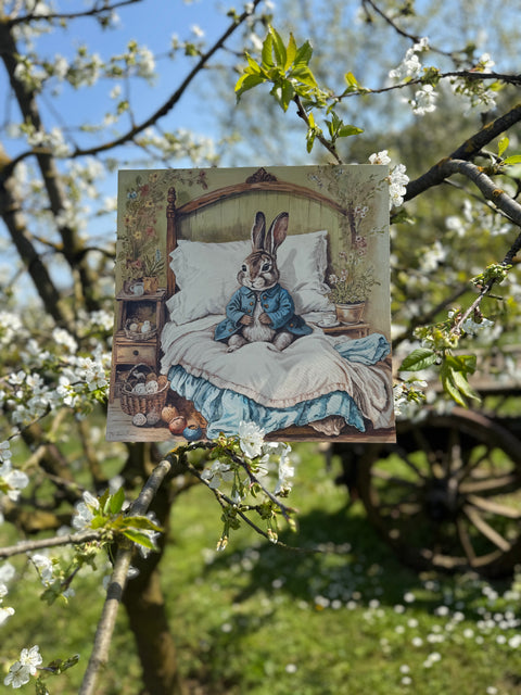 La storia di Beatrix Potter