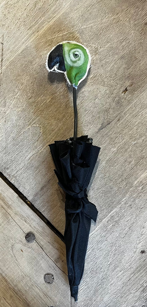 Mary Poppins
