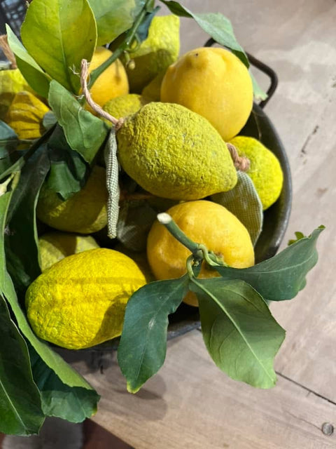 Limoni di carta