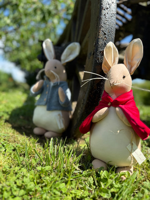 La storia di Beatrix Potter