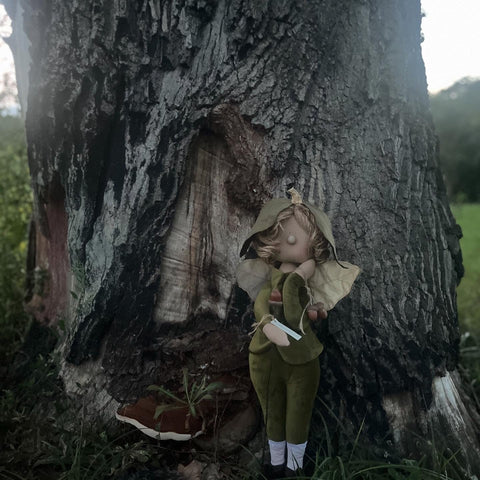Virna la fata del bosco