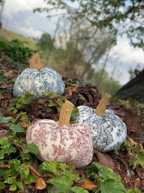 Zucche in toile de jouy