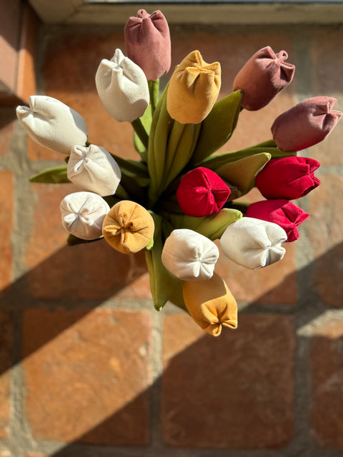 Tulipani