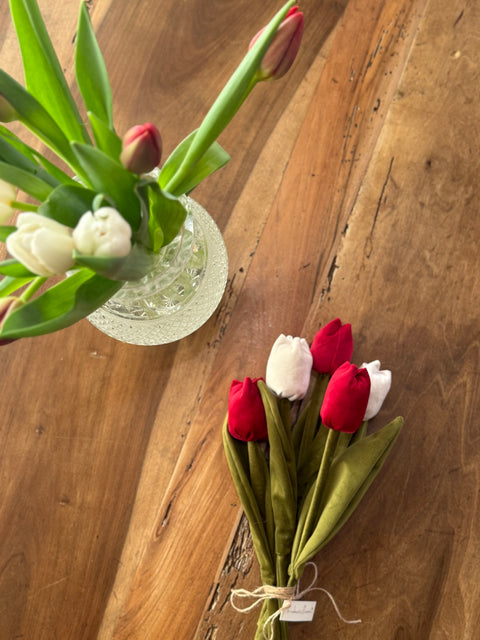 Tulipani