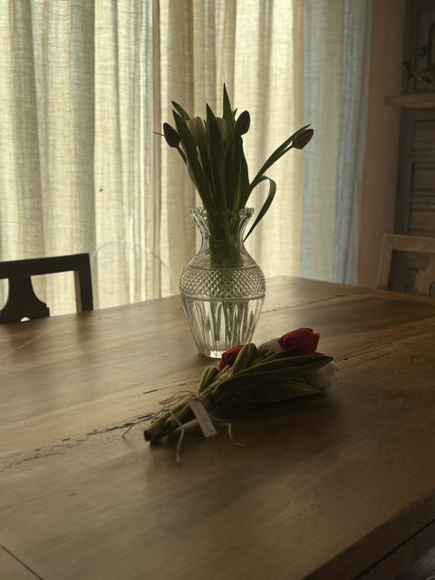 Tulipani