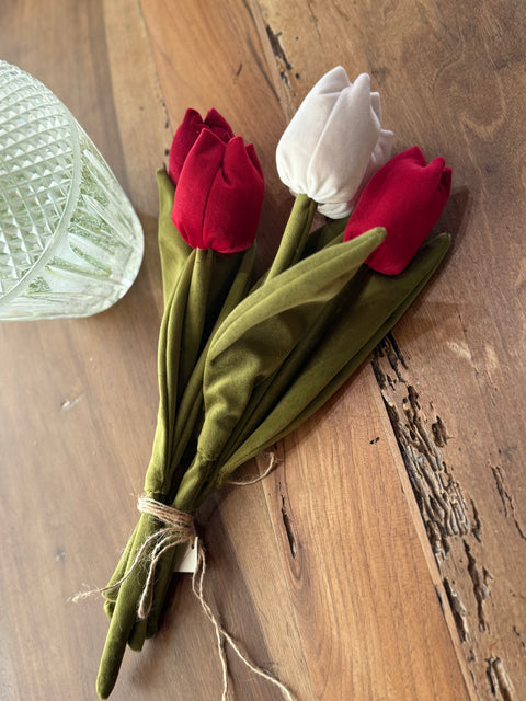 Tulipani