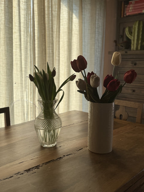 Tulipani