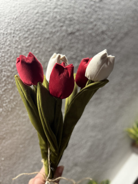 Tulipani