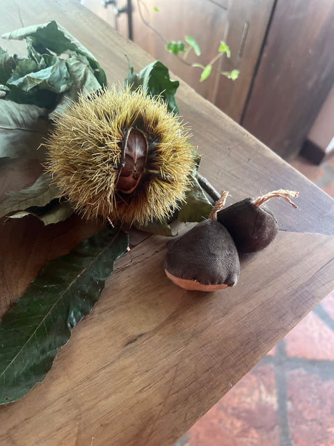 Castagne