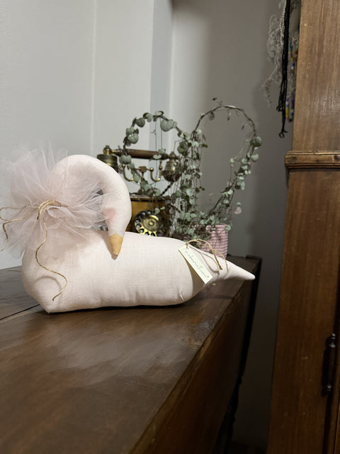 Cigno Odette