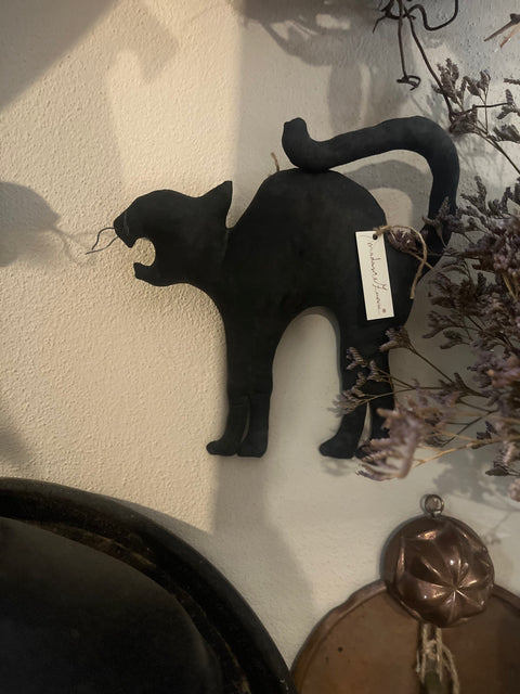 Gatti neri stoffa