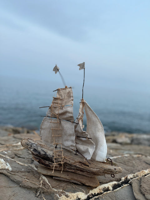 Velieri con legni di mare