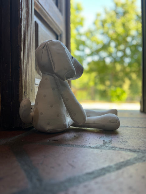 Il cane Ernesto