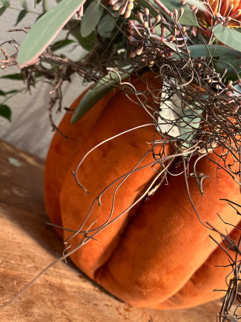 Zucca contenitore in velluto