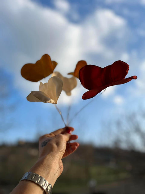 Farfalle