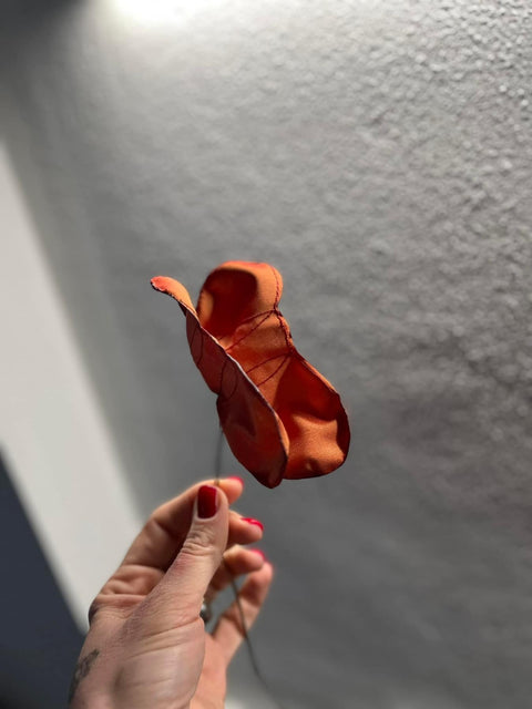 Farfalle