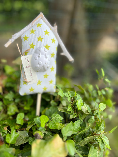Casette con gesso e bastoncino