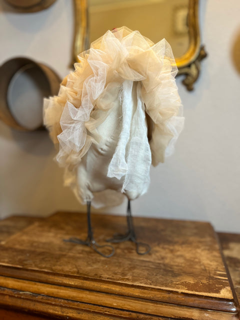 Gallina tullosa