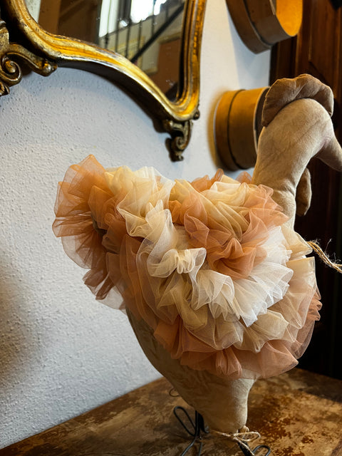 Gallina tullosa