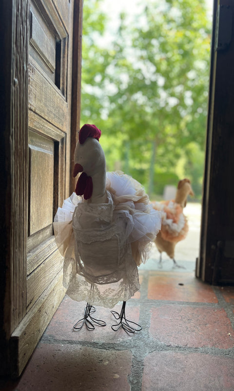 Gallina tullosa