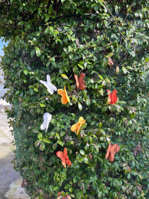 Farfalle