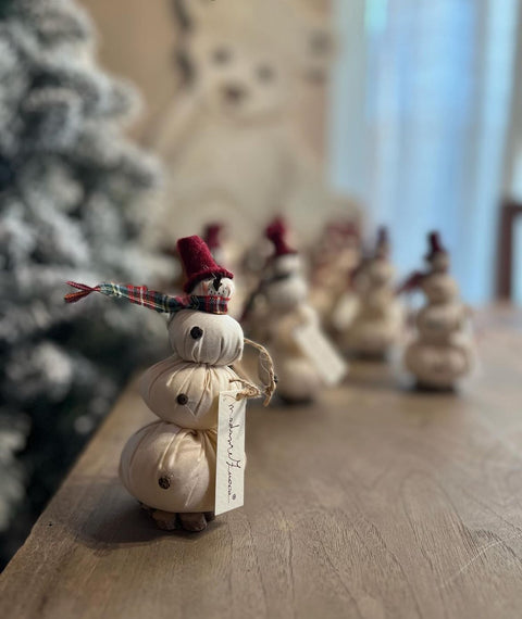 Pupazzi di neve