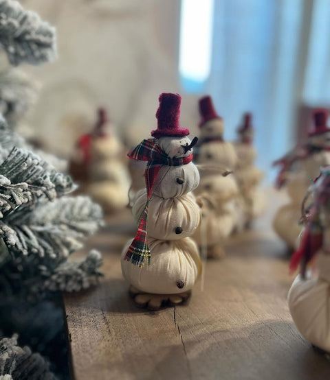 Pupazzi di neve