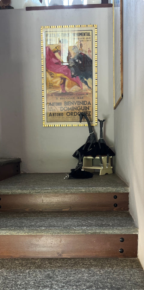 Le giraffe della scala