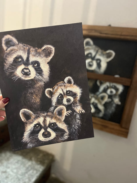 Copertina con procioni