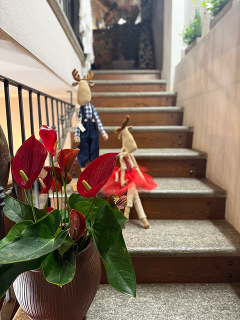 Renne Larabella e Gaspard