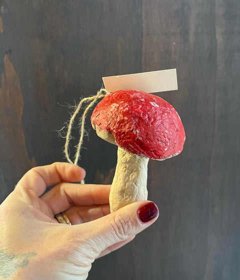 Funghi di natale rossi
