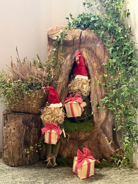 Gnomo dei regali Nicola