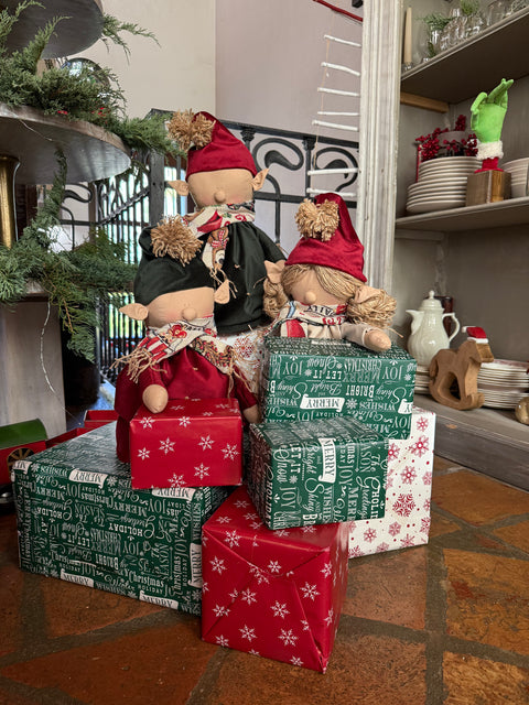 Elfo Giacomo e Elfa Patrizia