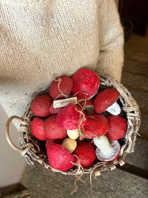 Funghi di natale rossi