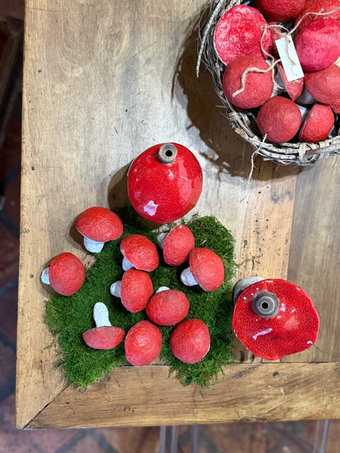 Funghi di natale rossi