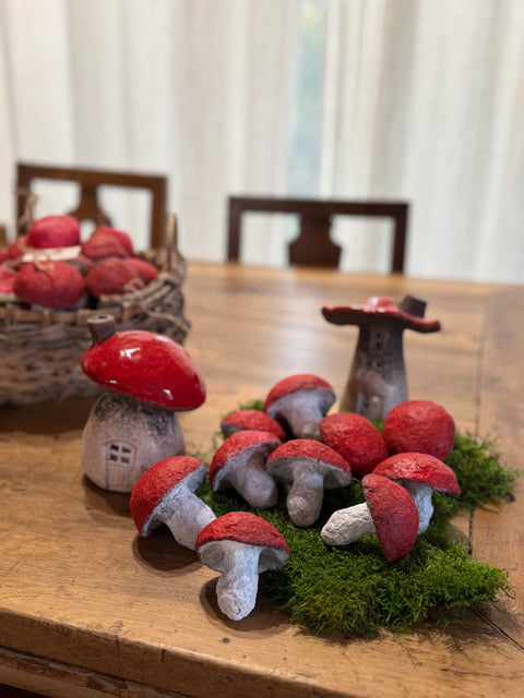 Funghi di natale rossi